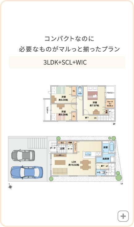 31号地